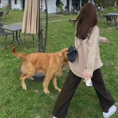 呐喊小杀手